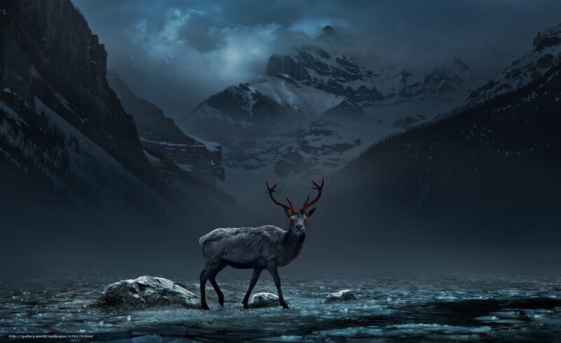 Deer in a snowy mountain lake