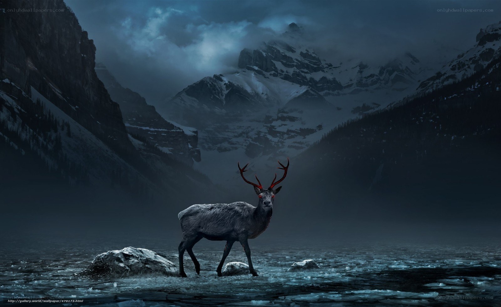 Deer in a snowy mountain lake