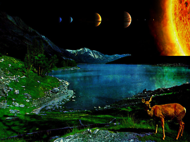 Deer in a Valley — Green, Dramatic