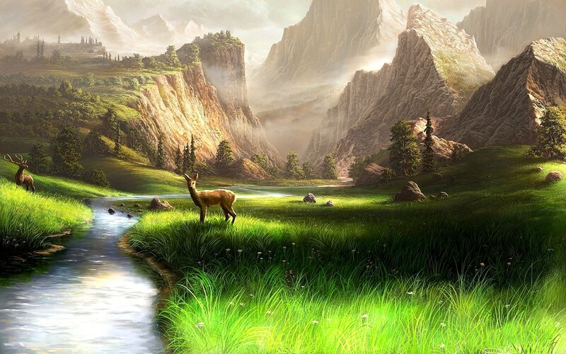 Deer in a Valley — Green, Serene, Morning