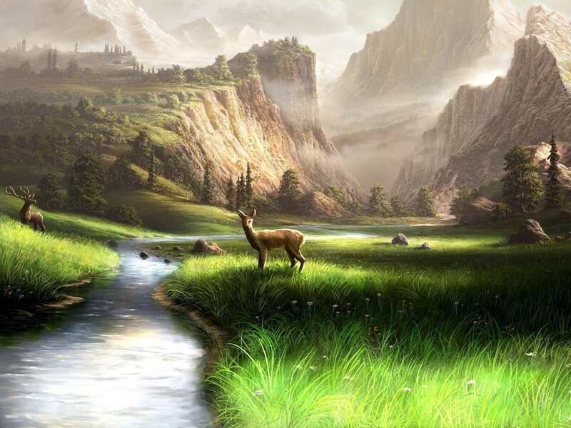 Deer in a Valley — Green, Serene