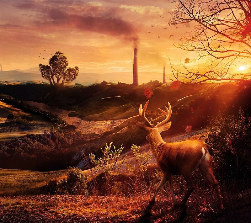 Deer in a Valley — Orange, Dramatic