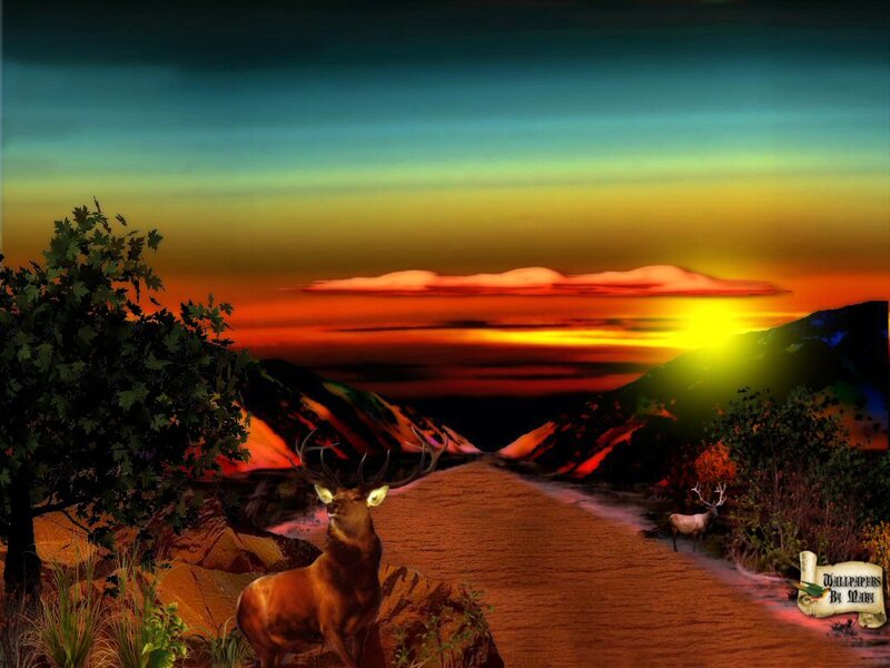 Deer in a Valley — Orange