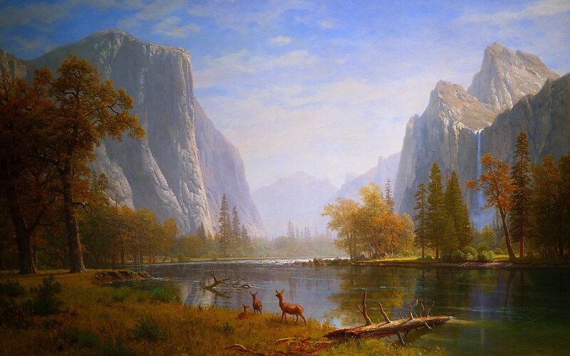 Deer in a Valley