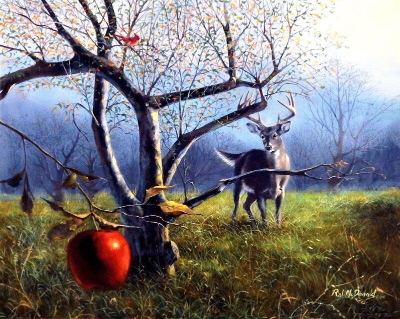 Deer in Apple Orchard