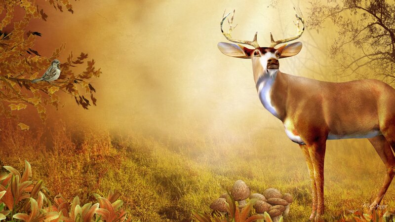 Deer in Autumn Field — Brown