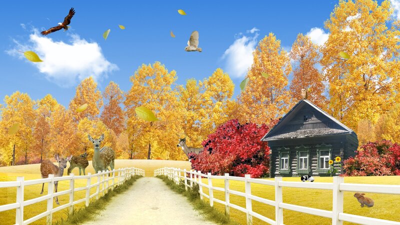 Deer in Autumn Field