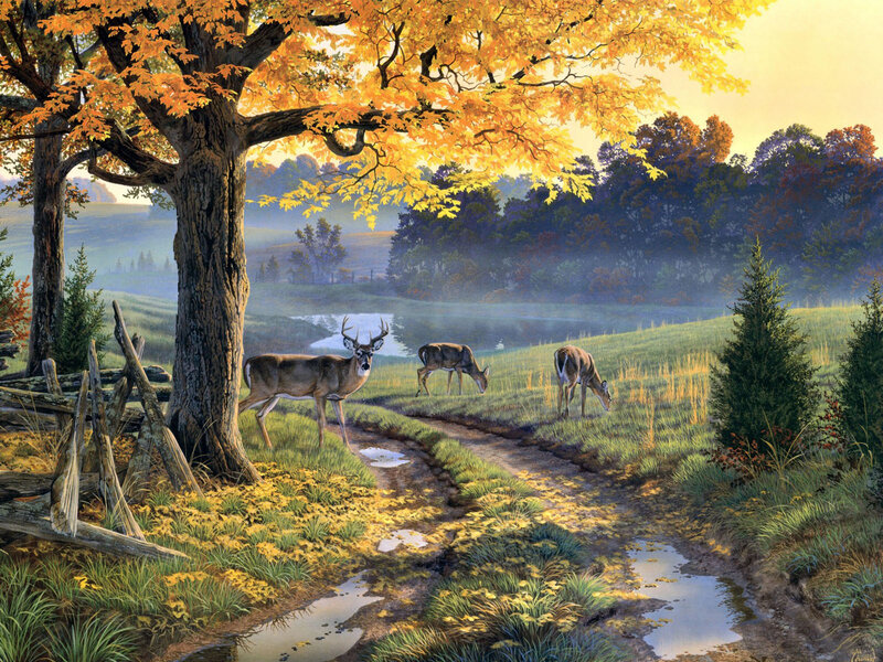Deer in Autumn Field — Yellow, Serene