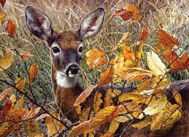 Deer in Autumn Foliage — Brown, Calm, Painting