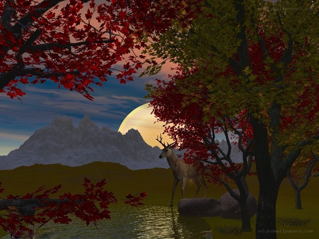 Deer in autumn forest
