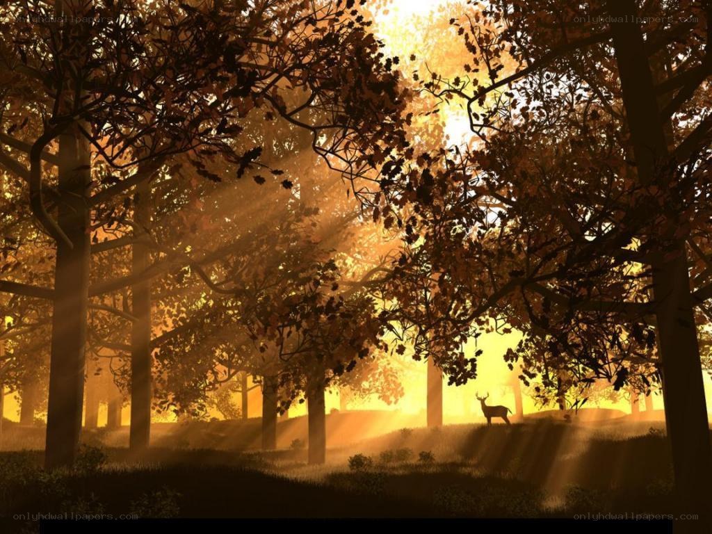 Deer in autumn forest