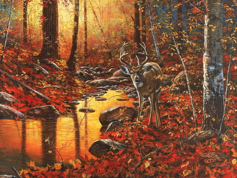 Deer in autumn forest