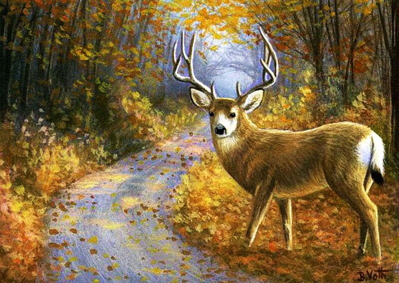 Deer in Autumn Forest — Brown, Serene, Painting, Path