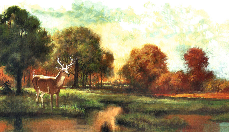 Deer in Autumn Forest — Green