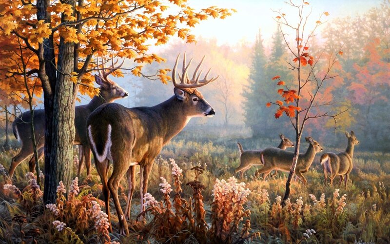 Deer in Autumn Forest — Orange, Serene, Painting, Trees