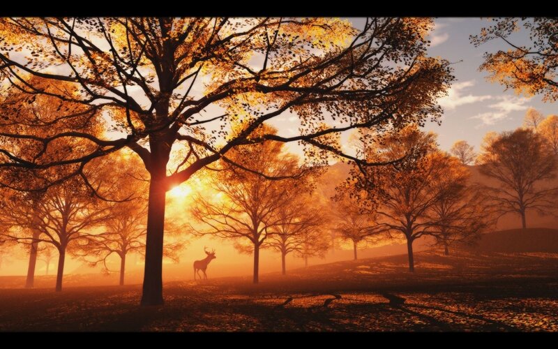 Deer in Autumn Forest — Orange, Serene, Sunset, Digital Art