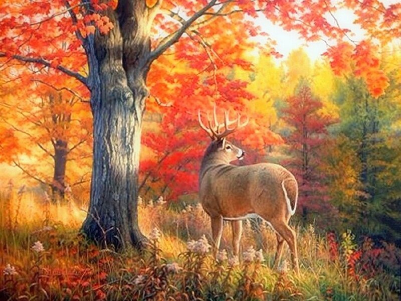 Deer in Autumn Forest — Red, Serene, Painting, Tree