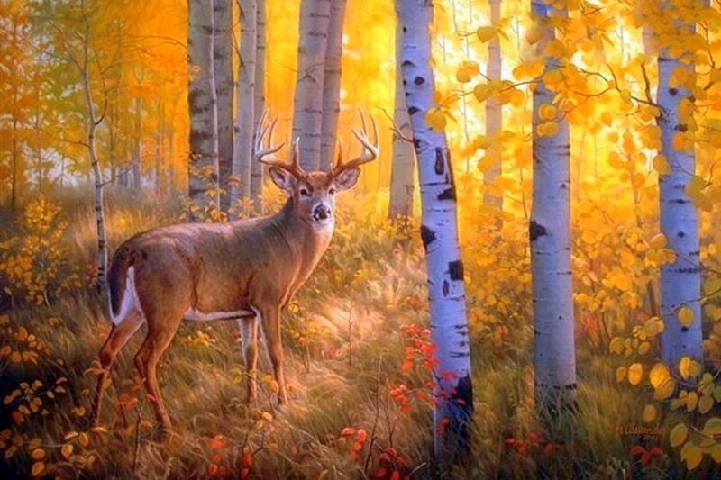 Deer in Autumn Forest — Yellow, Serene, Painting, Trees, Leaves