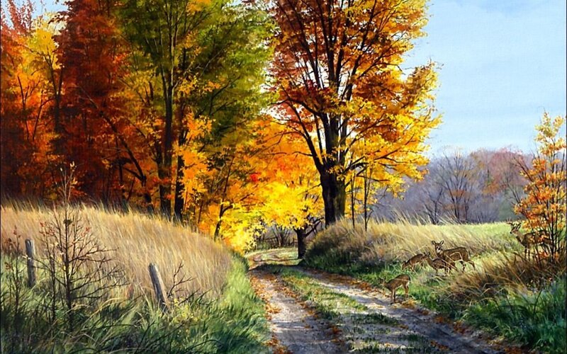 Deer in Autumn Forest — Yellow, Serene