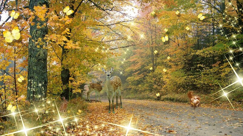 Deer in Autumn Forest — Yellow