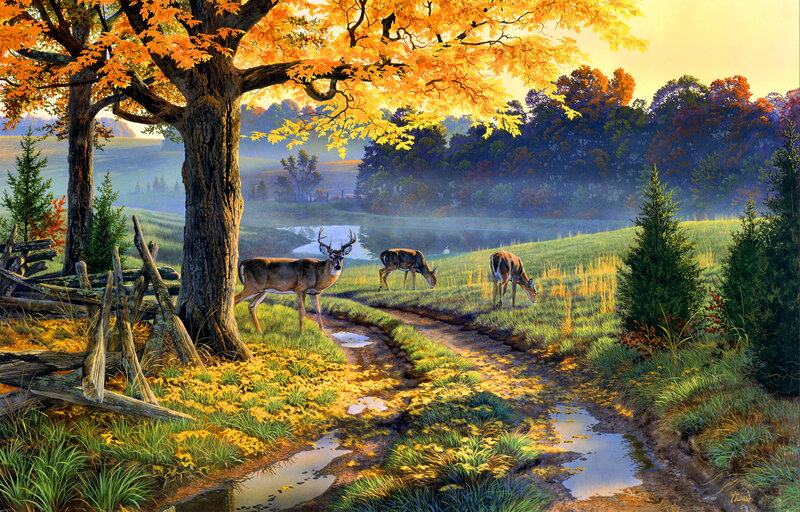 Deer in Autumn Landscape — Orange