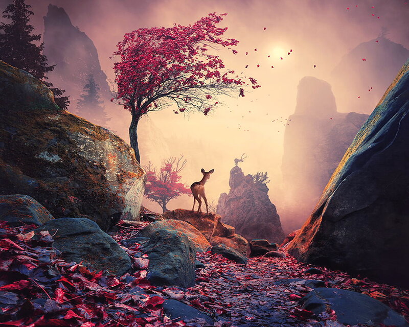 Deer in Autumn Landscape — Red