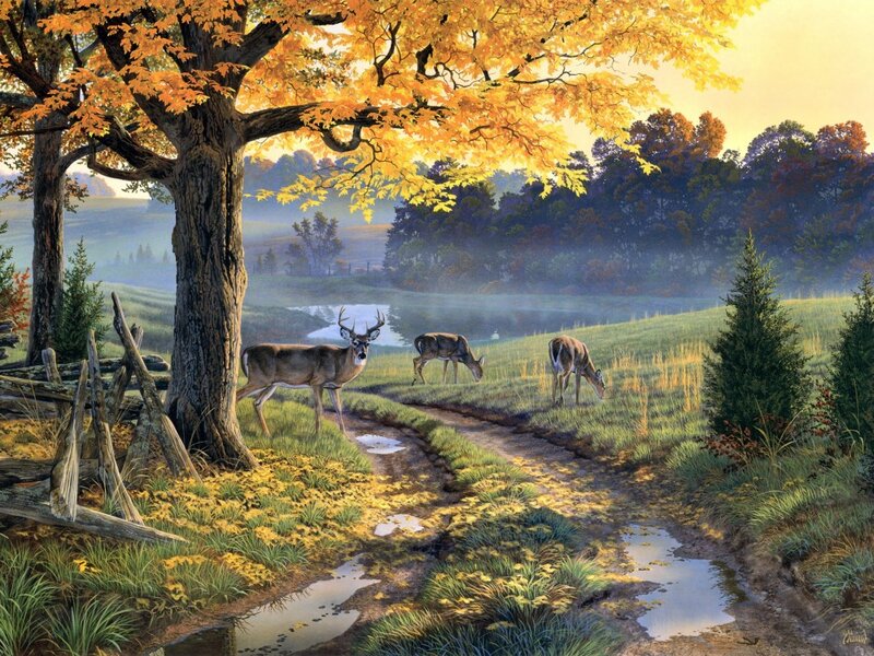 Deer in Autumn Landscape — Yellow