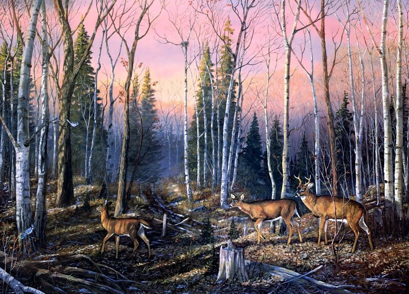 Deer in Birch Forest — Pink