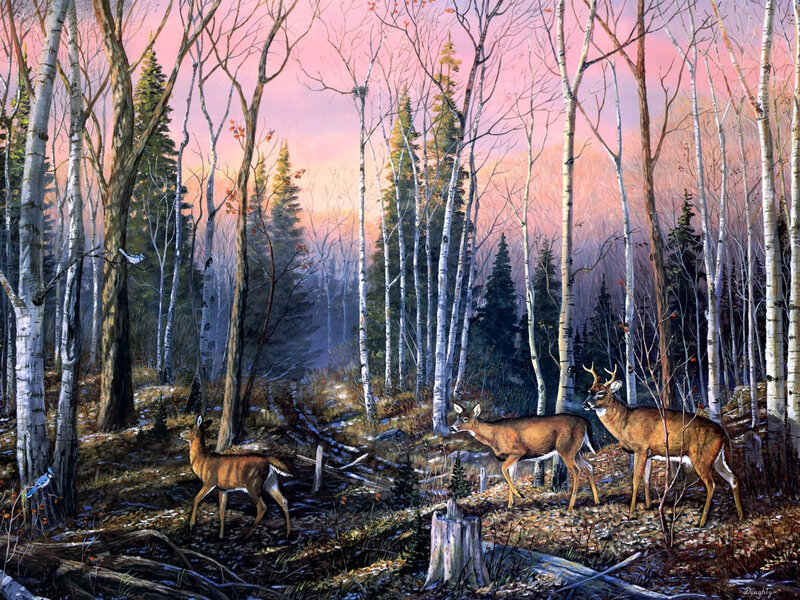 Deer in Birch Forest