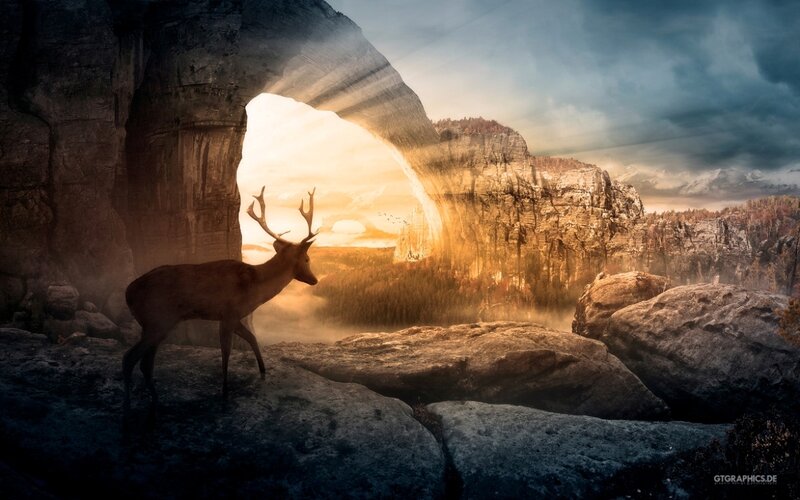 Deer in Cave Entrance — Brown