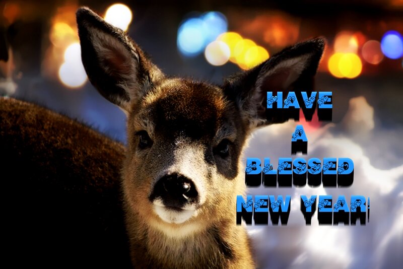 Deer in City Lights