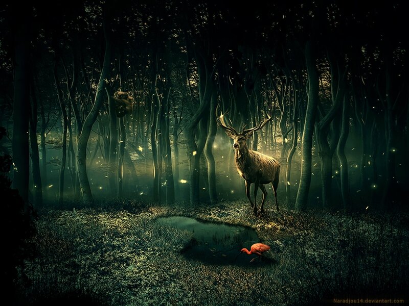 Deer in Dark Forest — Green