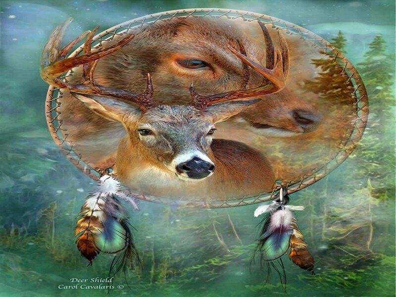Deer in Dreamcatcher — Green