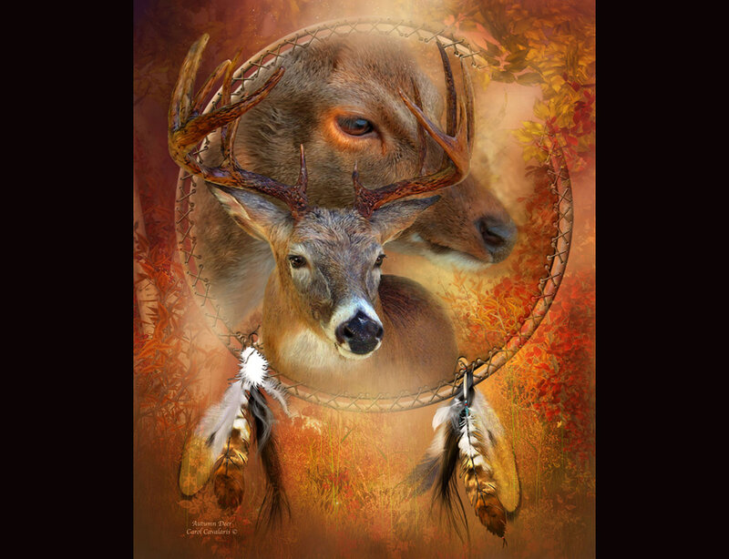 Deer in Dreamcatcher