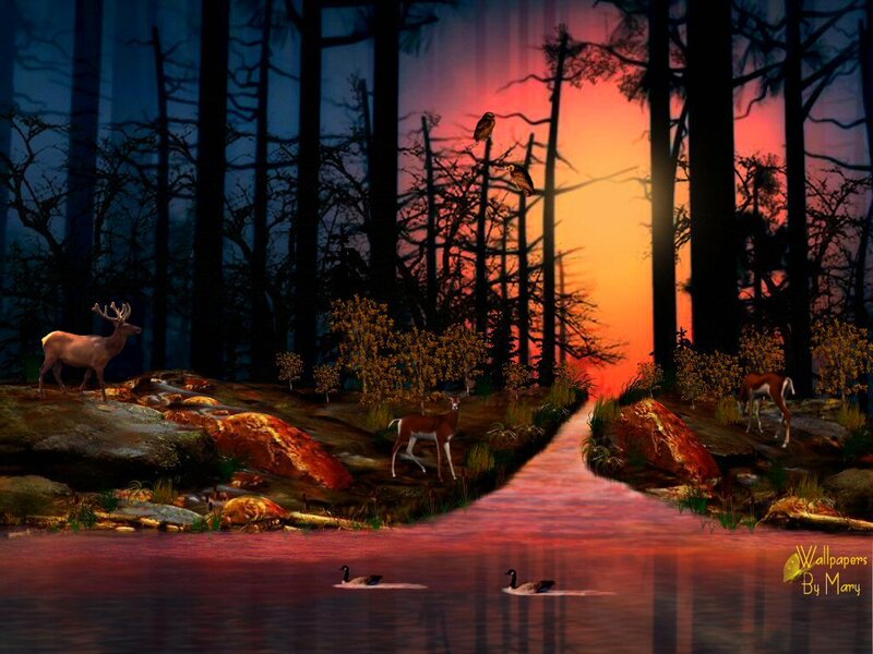 Deer in Forest at Sunset — Orange