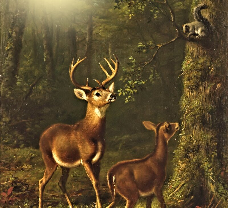 Deer in Forest — Brown, Serene, Morning, Painting