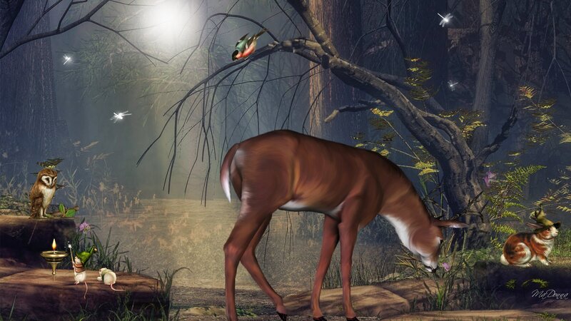 Deer in Forest — Brown, Serene, Night