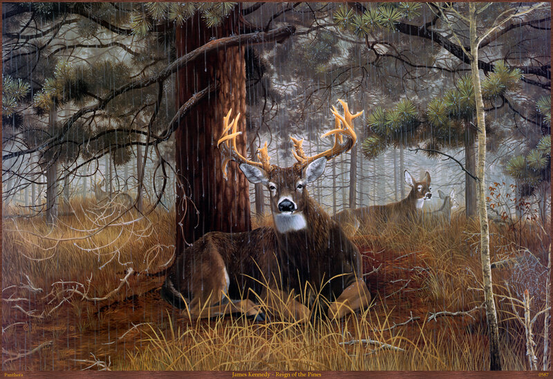 Deer in Forest — Brown, Serene