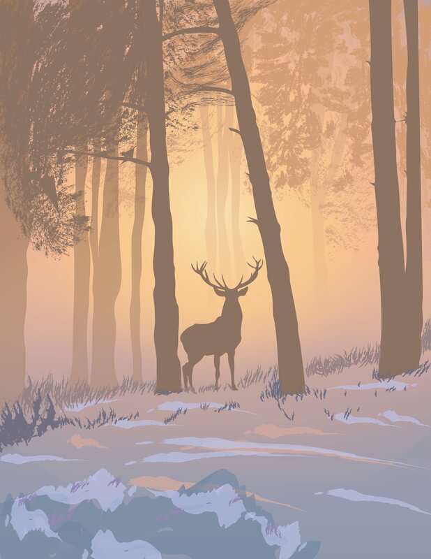 Deer in Forest — Brown, Serene, Winter
