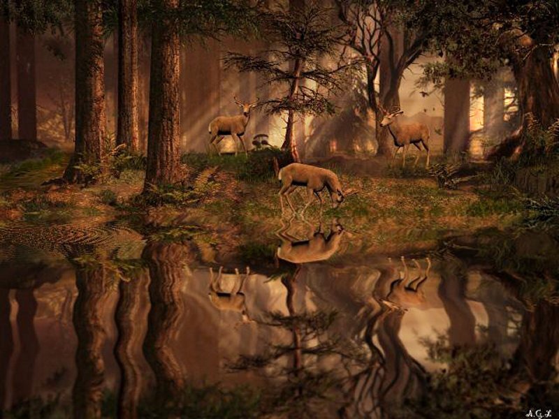 Deer in Forest Clearing — Brown