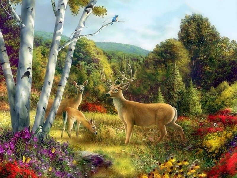 Deer in Forest Clearing — Green, Serene, Afternoon, Painting, Birch Trees
