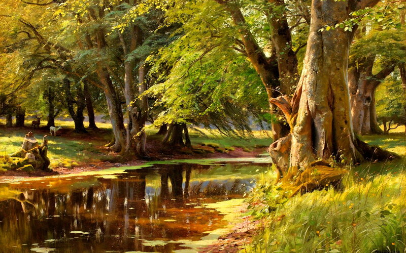 Deer in Forest Clearing — Green, Serene, Afternoon