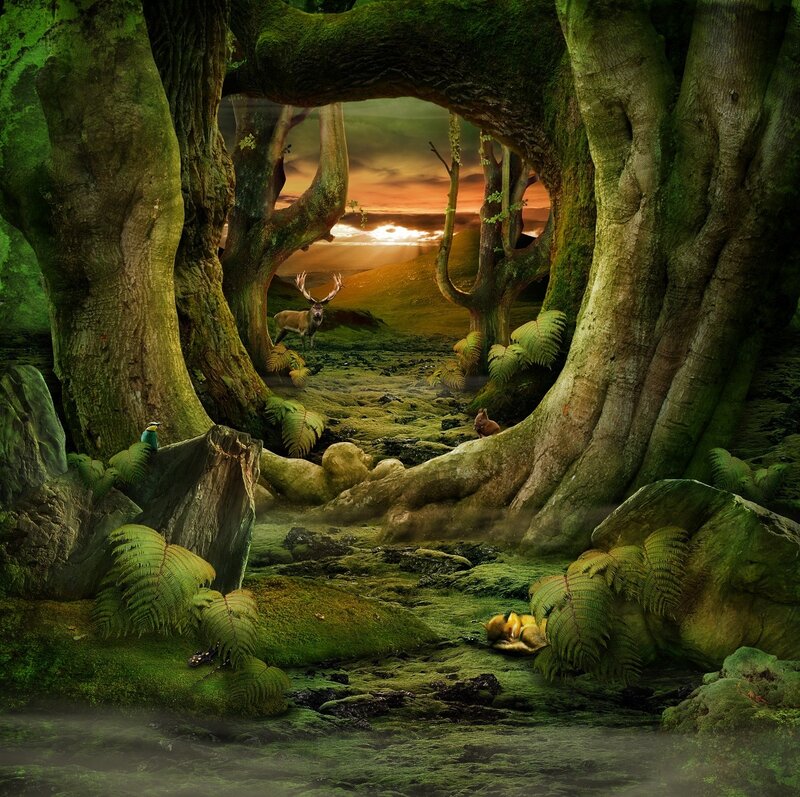 Deer in Forest Clearing — Green, Serene, Sunset, Digital Art