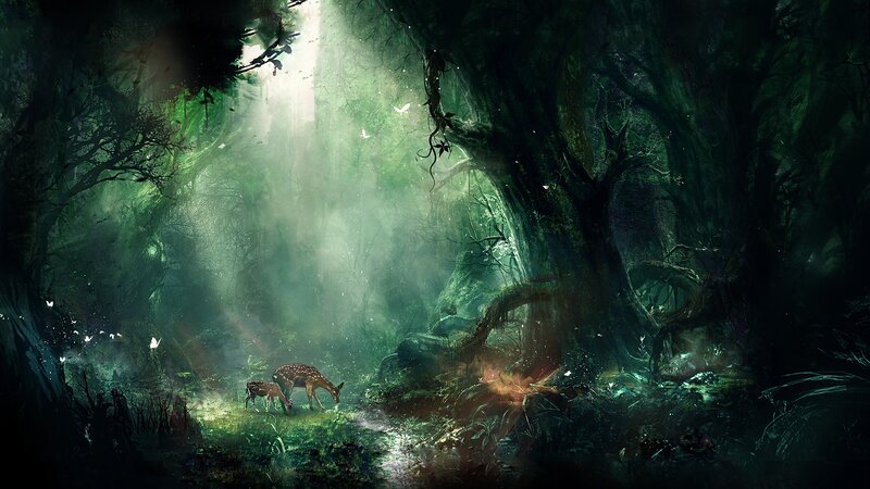 Deer in Forest Glade