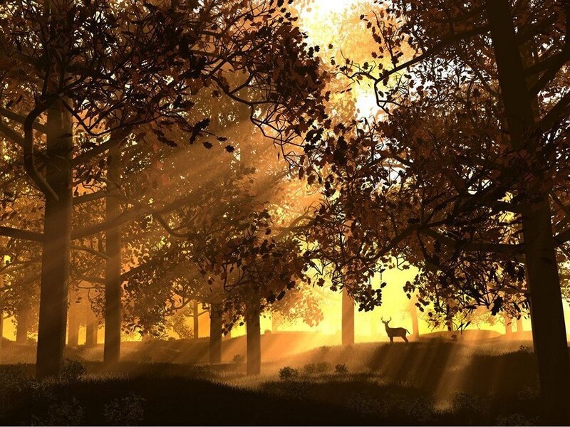 Deer in Forest — Gold, Serene, Sunset, Digital Art, Trees, Sunlight, Brown