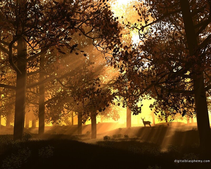 Deer in Forest — Gold, Serene, Sunset