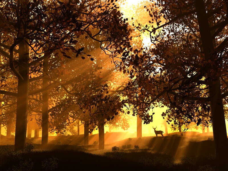 Deer in Forest — Gold, Serene