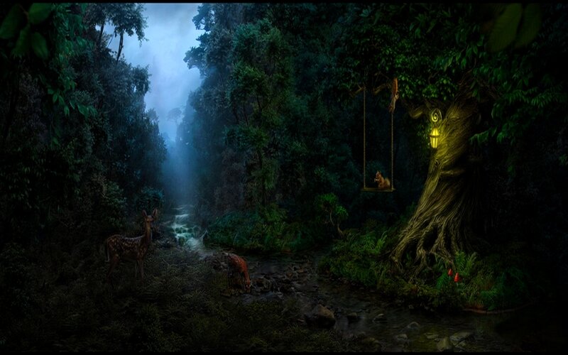 Deer in Forest — Green, Mysterious, Night