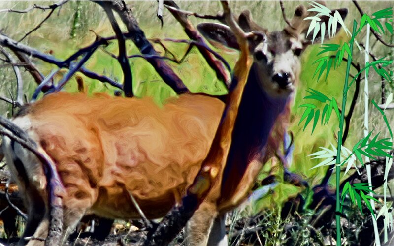 Deer in Forest — Green, Natural, Digital Art, Trees
