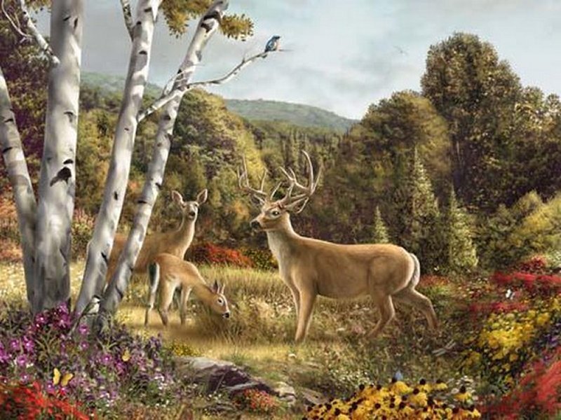 Deer in Forest — Green, Serene, Autumn